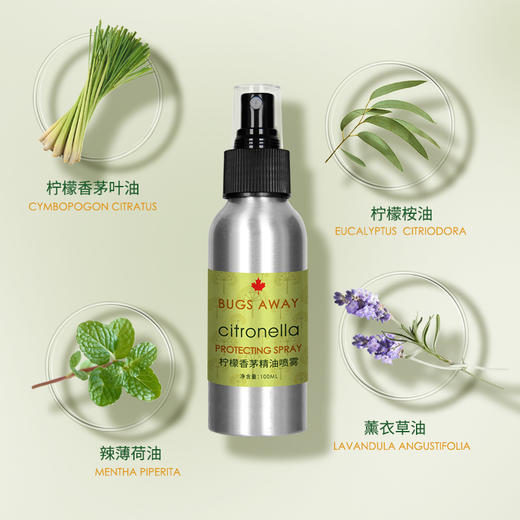 柠檬香茅精油喷雾100ml/瓶  S-37-1 （效期26-12） 商品图3