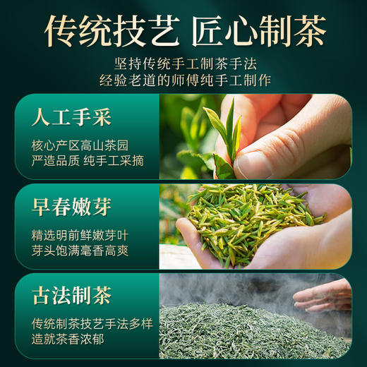 【2026年新茶预售】茶马世家丨信阳毛尖 河南名优绿茶 特级 意境 礼盒装 250g，新茶预计4月10日发货 商品图7