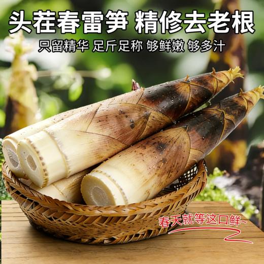 临安春笋 新鲜现挖 脆嫩多汁  顺丰包邮冰袋锁鲜 商品图2