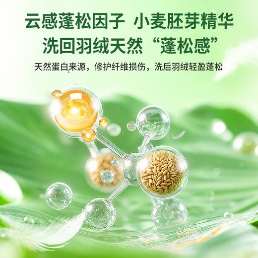 优选丨水卫仕 羽绒服清洁液2瓶+校服净30g*2袋 商品图2