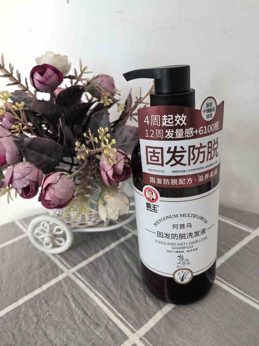 霸王生姜何首乌侧柏叶女贞子蓬松丰盈防脱去屑洗发液500ml正品 商品图4