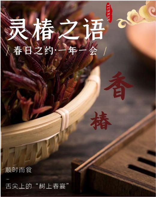 香椿腊肉冬春季节交替的风味组合 商品图1