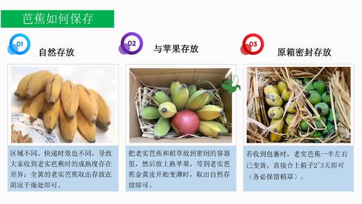 有机丑芭蕉（粉蕉） 4.8斤 商品图12