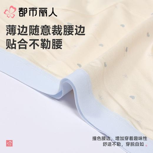 都市丽人内裤女士内裤人棉内裤木代尔内裤纤柔绵内裤LKC5A4 商品图4