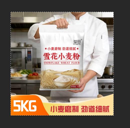 多用途雪花小麦粉10斤 包子饺子面条粉 商品图1