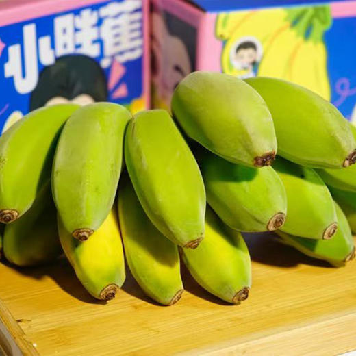 福建 小胖苹果蕉 净重4斤 商品图2