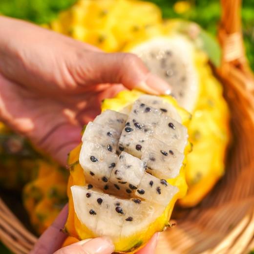 海南黄金燕窝果 商品图1