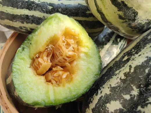 【博洋9号羊角蜜】 蜜瓜界的劳斯莱斯  甜脆多汁   汁水丰盈  香气满棚  酥脆  无渣  可食率99% 无农药种植 新鲜采摘  果园直发 商品图3