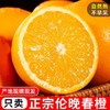 鲜榨当季！秭归伦晚春橙，一口爆汁的“橙中皇后” 商品缩略图3