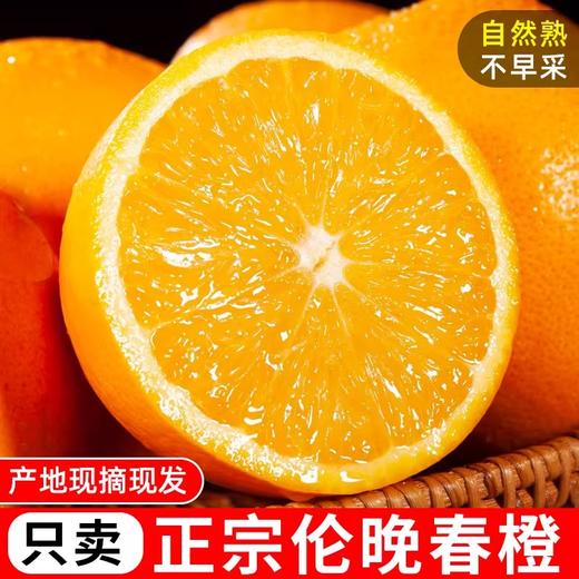 鲜榨当季！秭归伦晚春橙，一口爆汁的“橙中皇后” 商品图3