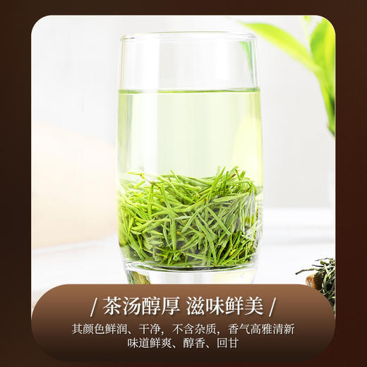 【2026年新茶预售】茶马世家丨信阳毛尖 绿茶 特级 山河志 礼盒装 200g，新茶预计4月10日发货 商品图7