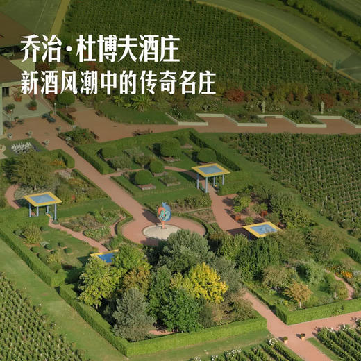 MM 山姆 Duboeuf法国进口 乔治杜博夫博若莱村红葡萄酒 750ml 商品图3