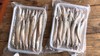 沙丁鱼 野生捕捞 新鲜发货 肉质细腻 油炸香煎 商品缩略图6