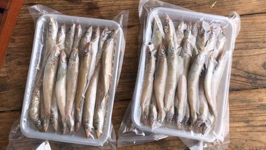 沙丁鱼 野生捕捞 新鲜发货 肉质细腻 油炸香煎 商品图6