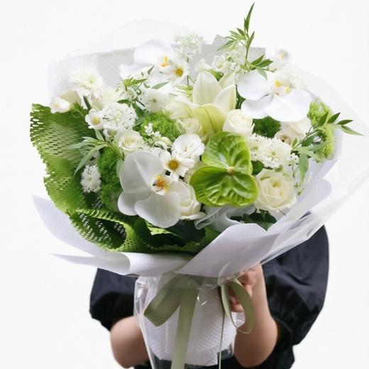 云栖鹤影 商品图0