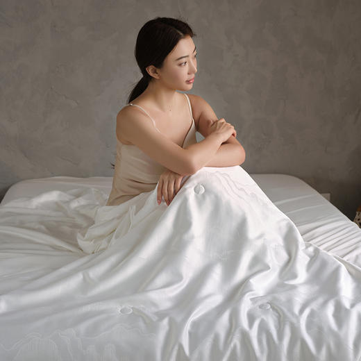 【 100%蚕丝被】云岫凉感蚕丝被 春夏凉感蚕丝被 商品图7