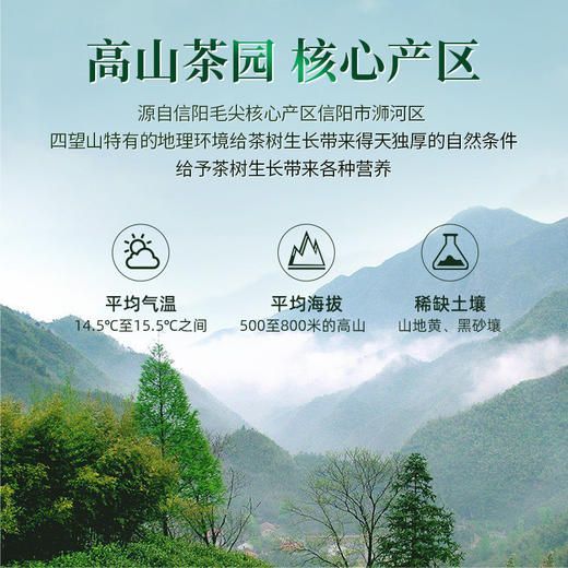 【2026年新茶预售】茶马世家丨信阳毛尖 河南名茶 绿茶 特级 50g 罐装，新茶预计4月10日发货 商品图2