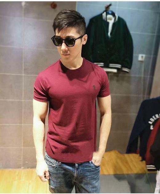 拉夫劳伦男士7色圆领短袖T恤！ 新马湖南工厂订单 50支越南日中纺（盛泰）客供精梳棉 商品图8