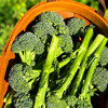 『福建甜杆芦笋西蓝薹』长杆西兰花，清新甜嫩，鲜脆爽口，顶冠和茎秆都可以食用 商品缩略图0