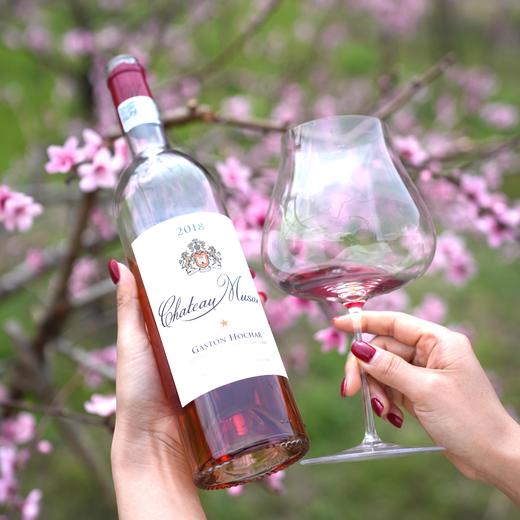 【春日出游一套搞定】马克艾博香槟+露纹艺术霞多丽+睦纱桃红+ABC伊莎贝拉黑皮诺干红套装 商品图2