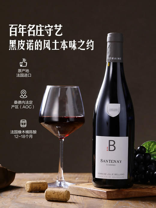 MM 山姆 勃艮第 法国进口 桑德内黑皮诺红葡萄酒 750ml 商品图1
