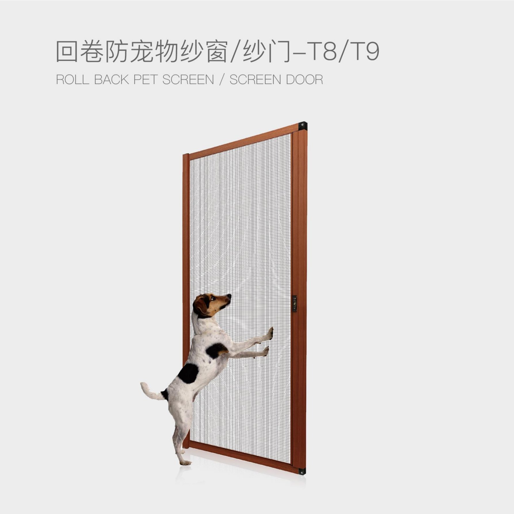 TN经典隐形纱门