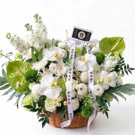 素雪寄思 商品图0