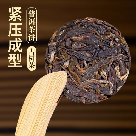 吉顺号2026年春茶野芳踪布朗南温古树茶250克/罐 商品图5