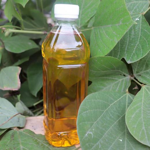 农家纯正压榨茶油500ml山茶油瓶装食用油家用健康茶油正宗茶油 商品图2