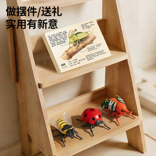 【7个会爬行的立体昆虫 有夜光】百乐森立体昆虫发条玩具 儿童益智爬行仿真动物虫子模型礼盒 赠7张认知卡+礼盒套装 商品图6