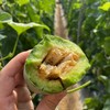 自营（农产品）-博洋72甜瓜 商品缩略图6