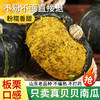 在菌屋 山东老品种贝贝南瓜5斤装 口感粉面 甜糯栗香 商品缩略图0