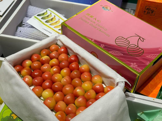 丸淇老品牌·大连晚熟金樱桃🍒Dalian Gold Cherries
分量更足，果型饱满
颜色、新鲜度、硬度全拉满
颗颗无瑕疵，颜值与口感双在线 商品图4