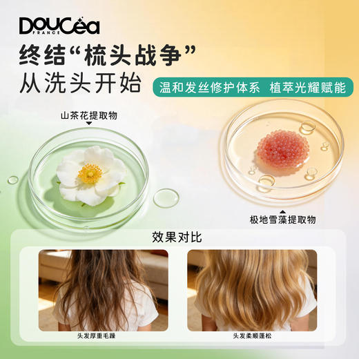 Doucea多希雅 · 山茶花系列 · 洗发露套装400ml 商品图2