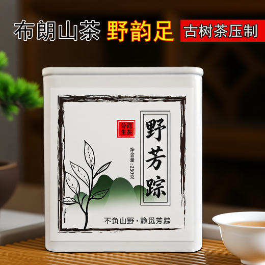吉顺号2026年春茶野芳踪布朗南温古树茶250克/罐 商品图0