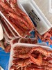 L''今日樱花虾上新～ 肉质紧实鲜甜，鲜度拉满！ 商品缩略图3