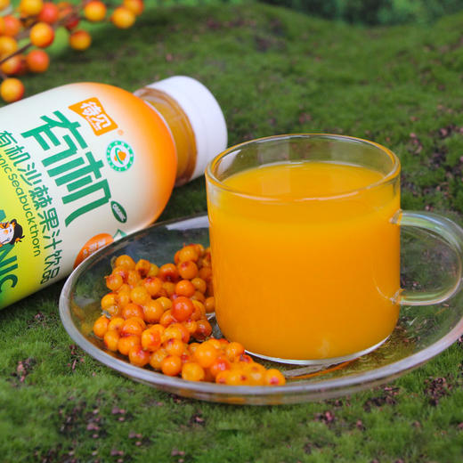 待见有机沙棘果汁 商品图0
