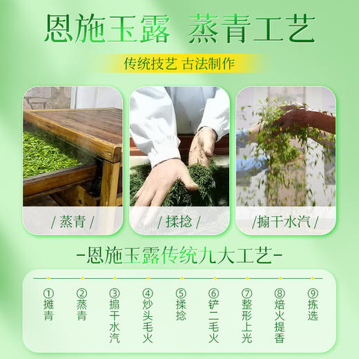 茶马世家丨早春恩施玉露 绿茶 明前特级 圆罐 100g 商品图3