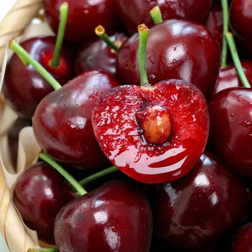 大连美早大樱桃（现摘现发，下单72小时发货）下单后采摘，如遇大雨极端天气顺延 商品图3
