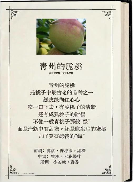 察木 游吟诗人系列植物精油无火香薰 - 黑凤梨/脆蜜桃 商品图4