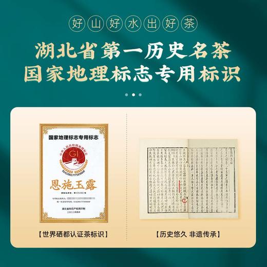 茶马世家丨恩施玉露 蒸青绿茶 明前特级 山河志礼盒装 180g 商品图6