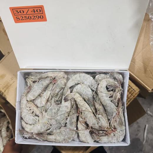 【生鲜专区-顺丰发货】厄瓜多尔盐冻大虾 原装进口 原箱发货 约1.5公斤/盒(3斤)  青岛发货 顺丰包邮  {冷冻生鲜食品请及时签收}约48-72小时发货 勿催单 商品图1
