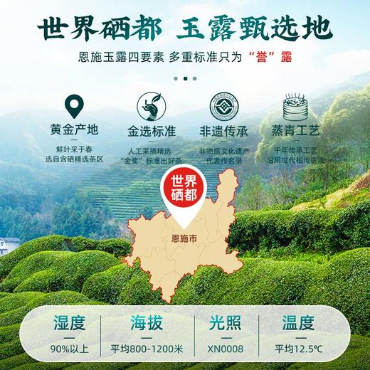 茶马世家丨恩施玉露 蒸青绿茶 明前特级 山河志礼盒装 180g 商品图2