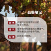 MM 山姆 米高桃乐丝（Miguel Torres）智利进口 安第卡珍藏美乐干红葡萄酒 750ml 商品缩略图3