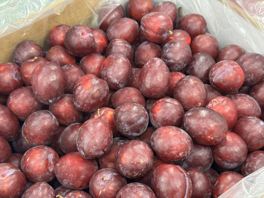 澳洲鸡心李（散称49.8/斤 称重补差） 商品图2