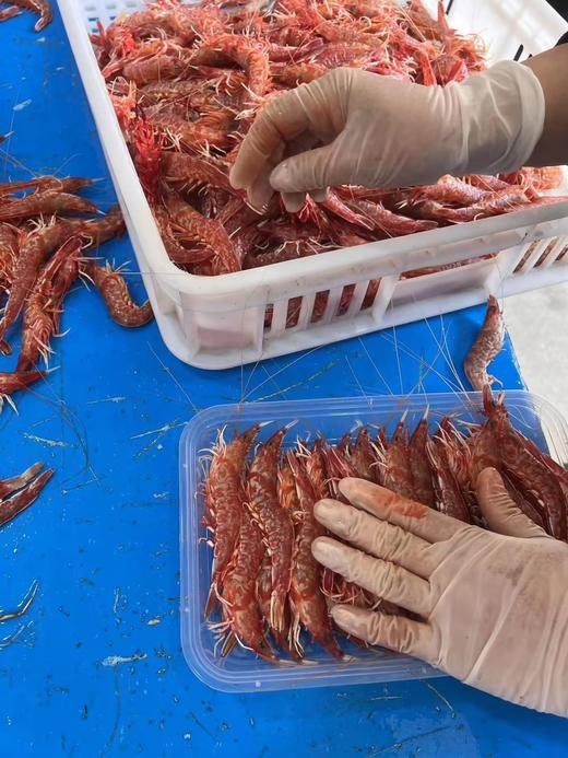 L''今日樱花虾上新～ 肉质紧实鲜甜，鲜度拉满！ 商品图2
