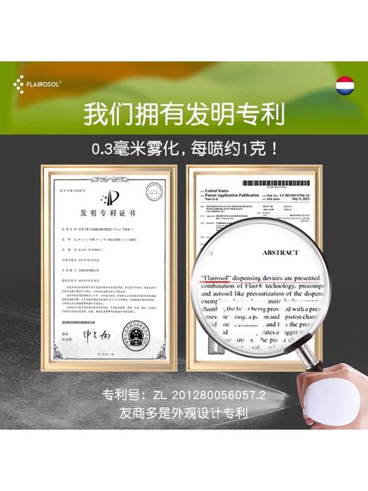 FLAIROSOL喷油壶厨房家用食品级玻璃油瓶 商品图2