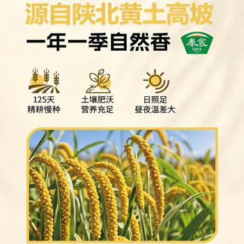 秦食陕西米脂黄小米1.6斤罐装 新小米 油小米 小米粥 杂粮 月子米   /粮油调味 /杂粮 /谷米类 商品图2