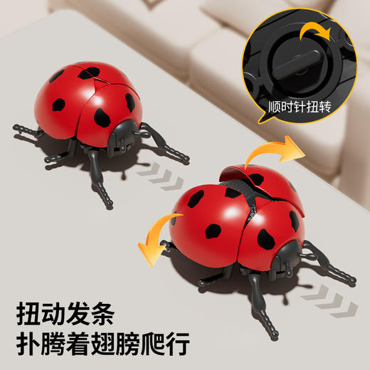 【7个会爬行的立体昆虫 有夜光】百乐森立体昆虫发条玩具 儿童益智爬行仿真动物虫子模型礼盒 赠7张认知卡+礼盒套装 商品图4
