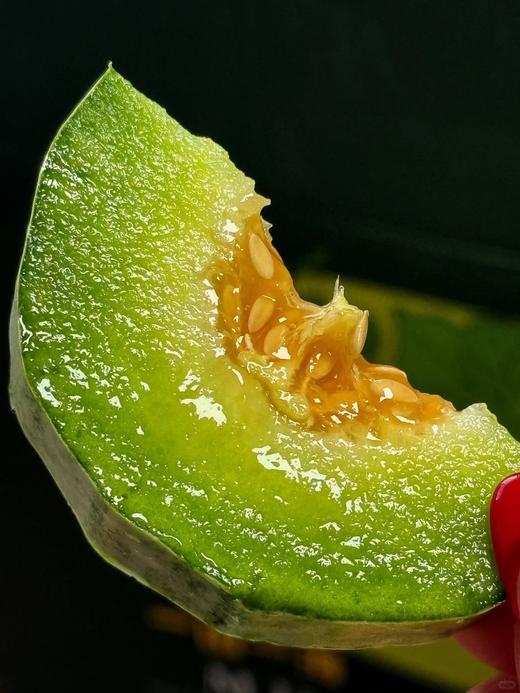 自营（农产品）-博洋72甜瓜 商品图4